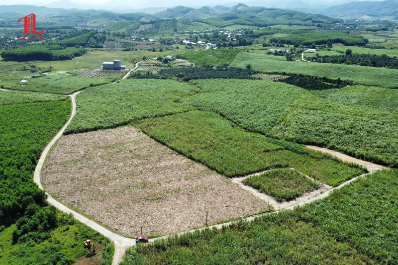 Chuyển đổi đất qua đất ở: Vì sao mức thu hiện nay quá cao?