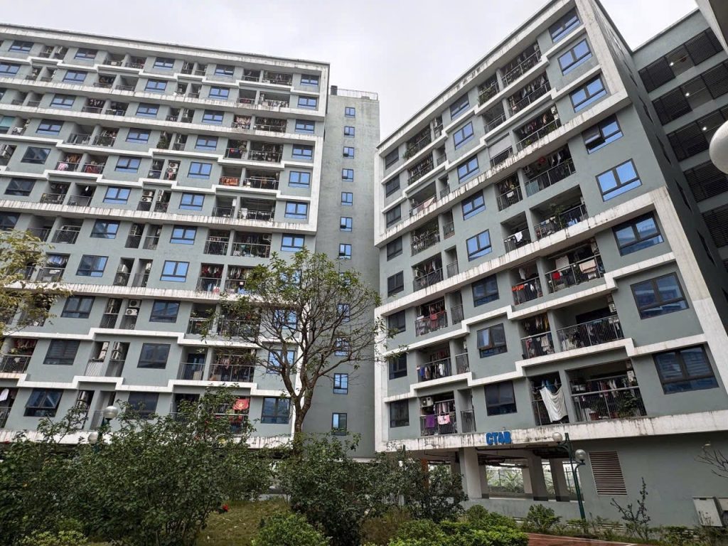 Nới chuẩn NOXH TP.HCM: Lợi thế cho gia đình trẻ