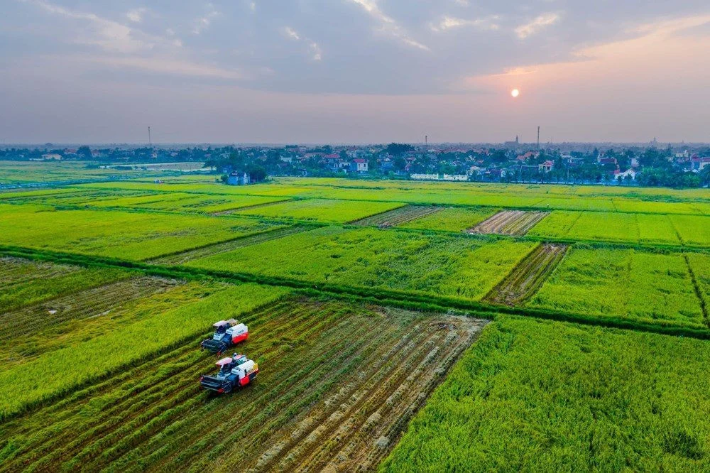 Ai Có Thẩm Quyền Cấp Sổ Đỏ Sau Dồn Điền Đổi Thửa