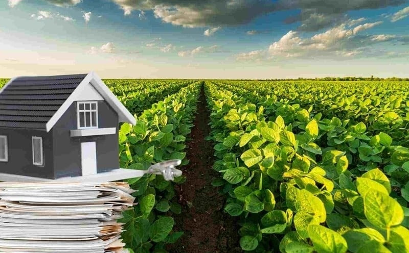Chính Sách Mới: Ai Được Miễn, Giảm Tiền Đất