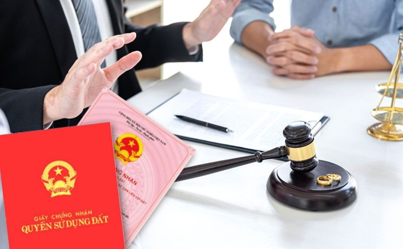 Quy định mới về xử phạt đất đai chính thức áp dụng từ 31/8