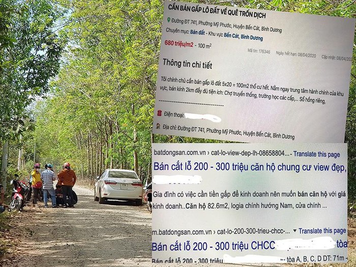 Cảnh Báo Chiêu Rao Nhà "Cắt Lỗ": Người Mua Dễ Mắc Bẫy