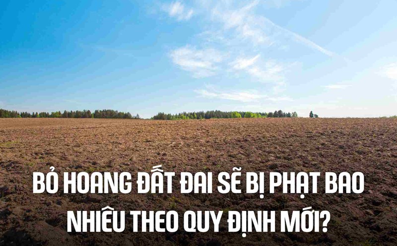 Đất bỏ hoang quá 60 tháng có thể bị thu hồi: Chủ đất cần biết gì?